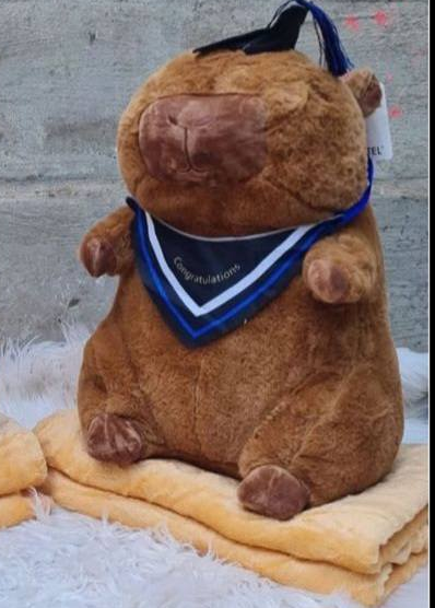 Peluches con Cobija