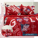 Edredon equipos de futbol