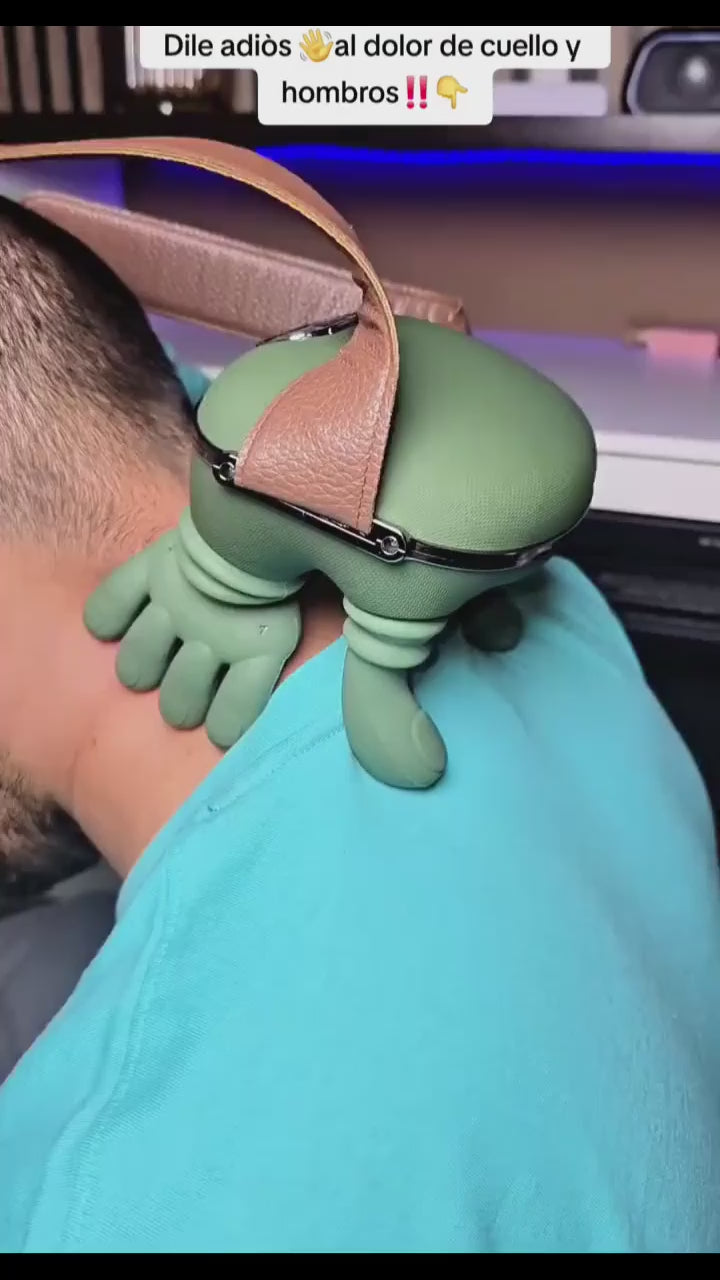 Cargar video: 